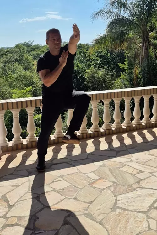 Tritte und Schritte, Sifu Joachim Igl, Wing Chun, Selbstverteidigung, Selbstbestimmung, Klarheit und innere Stärke, für dein Leben, Privat, Beruf, Beziehung, Wing Chun-Online-Kurs für zu Hause, Global Kung Fu Alliance, Paraguay, Cordillera, 